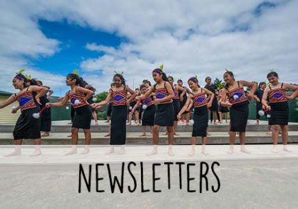 Newsletters