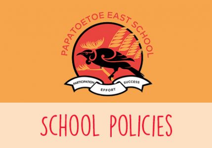 School Policies